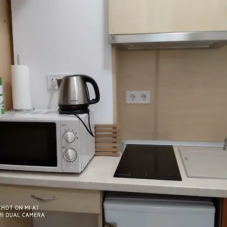 Oázis *