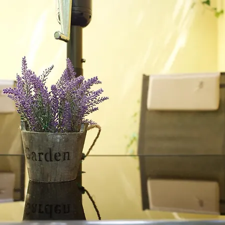 Oazis Apartman Eger